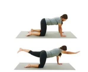 Vierfüßlerstand mit diagonal gestrecktem Arm und Bein